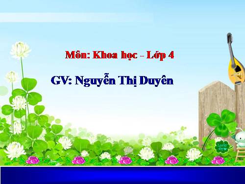 Bài 20. Nước có những tính chất gì?