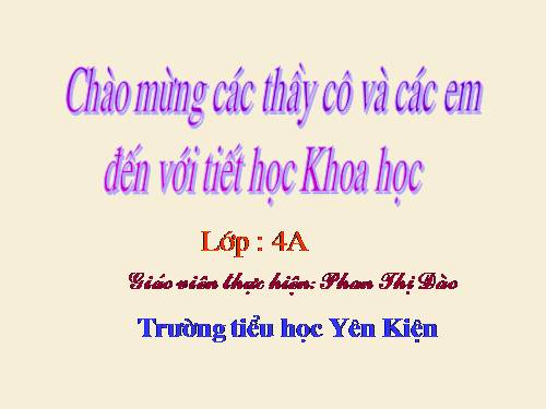 Bài 14. Phòng một số bệnh lây qua đường tiêu hoá