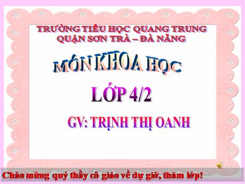 Bài 47. Ánh sáng cần cho sự sống