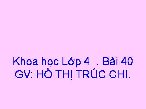 Bài 40. Bảo vệ bầu không khí trong sạch