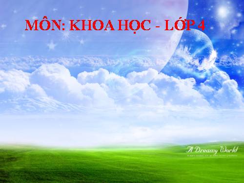 Bài 65. Quan hệ thức ăn trong tự nhiên