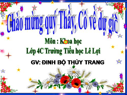Bài 62. Động vật cần gì để sống?