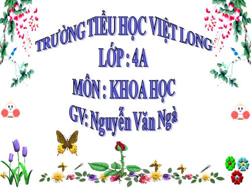 Bài 64. Trao đổi chất ở động vật