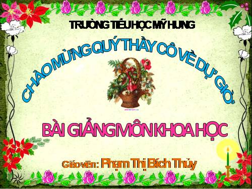 Bài 64. Trao đổi chất ở động vật