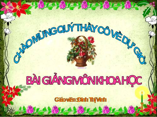 Bài 62. Động vật cần gì để sống?