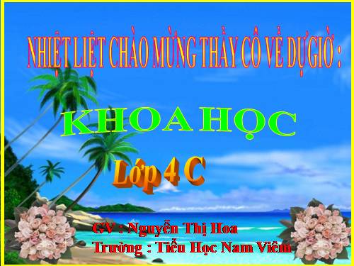 Bài 20. Nước có những tính chất gì?