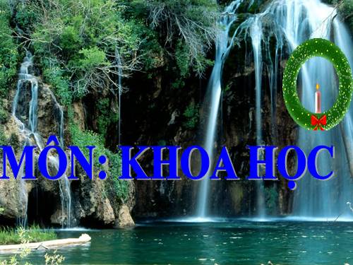 Bài 4. Các chất dinh dưỡng có trong thức ăn. Vai trò của chất bột đường