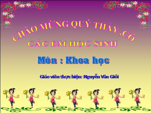 Bài 62. Động vật cần gì để sống?