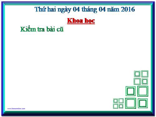 Bài 59. Nhu cầu chất khoáng của thực vật