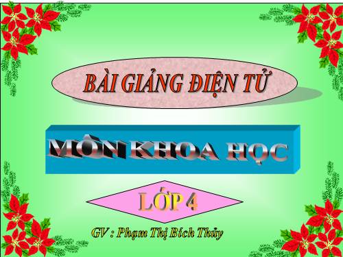 Bài 61. Trao đổi chất ở thực vật