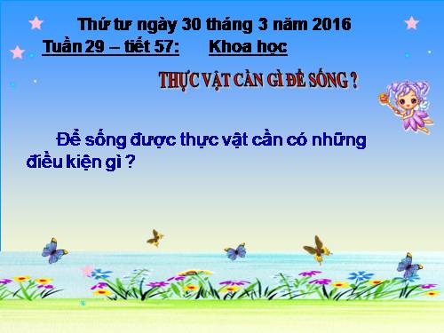 Bài 57. Thực vật cần gì để sống?