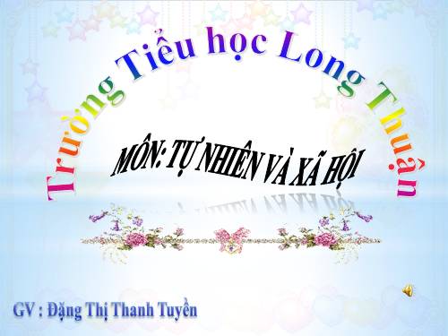 Bài 39. Không khí bị ô nhiễm