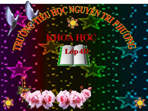 Bài 57. Thực vật cần gì để sống?