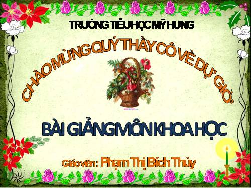 Bài 58. Nhu cầu nước của thực vật