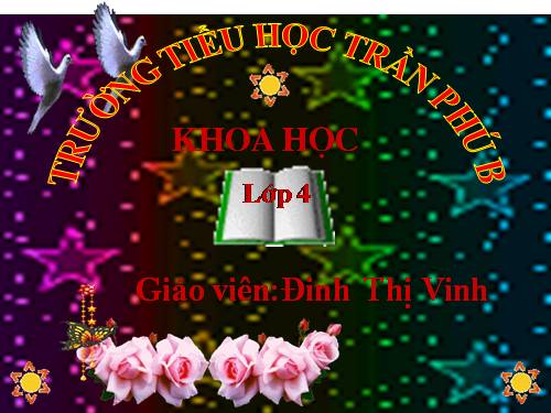 Bài 57. Thực vật cần gì để sống?