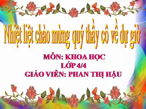 Bài 57. Thực vật cần gì để sống?