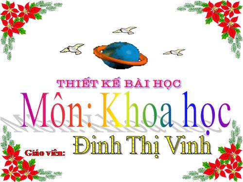 Bài 55 - 56. Ôn tập: Vật chất và năng lượng