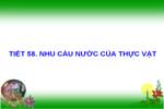Bài 58. Nhu cầu nước của thực vật