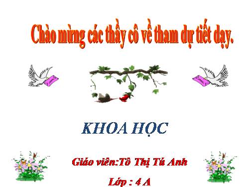 Bài 49. Ánh sáng và việc bảo vệ đôi mắt