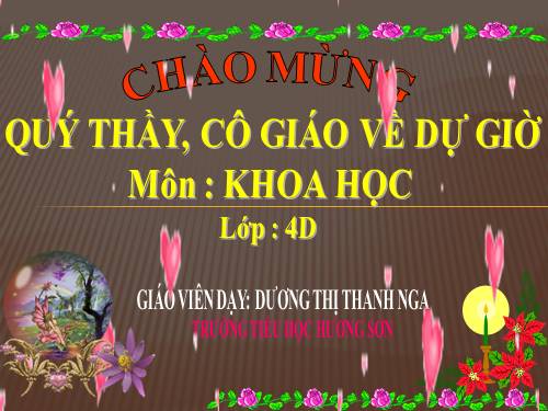 Bài 46. Bóng tối