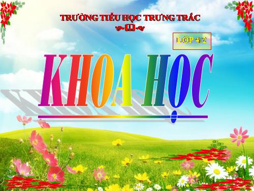 Bài 46. Bóng tối
