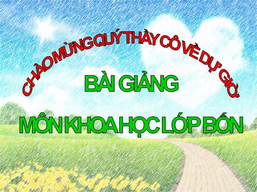 Bài 47. Ánh sáng cần cho sự sống