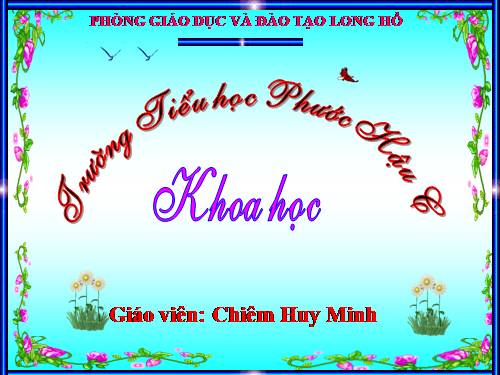 Bài 46. Bóng tối