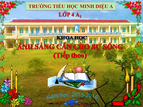 Bài 48. Ánh sáng cần cho sự sống (tiếp theo)