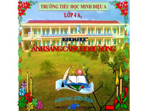 Bài 47. Ánh sáng cần cho sự sống