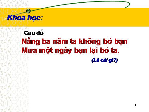 Bài 46. Bóng tối