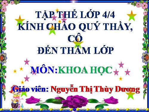 Bài 32. Không khí gồm những thành phần nào?