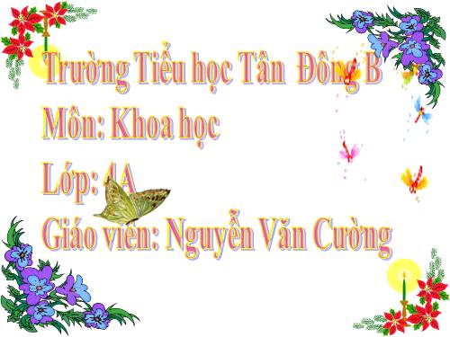 Bài 44. Âm thanh trong cuộc sống (tiếp theo)