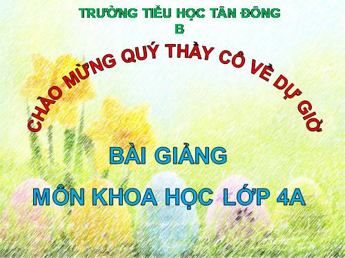 Bài 43. Âm thanh trong cuộc sống