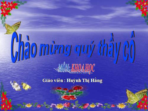 Bài 29. Tiết kiệm nước