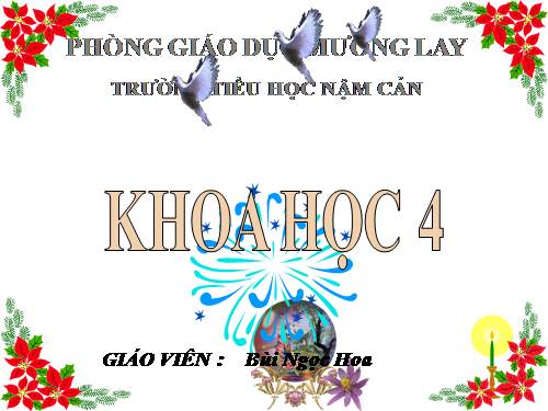 Bài 1. Con người cần gì để sống?