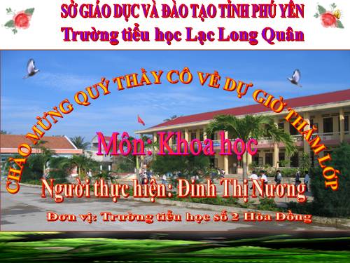 Bài 38. Gió nhẹ, gió mạnh. Phòng chống bão
