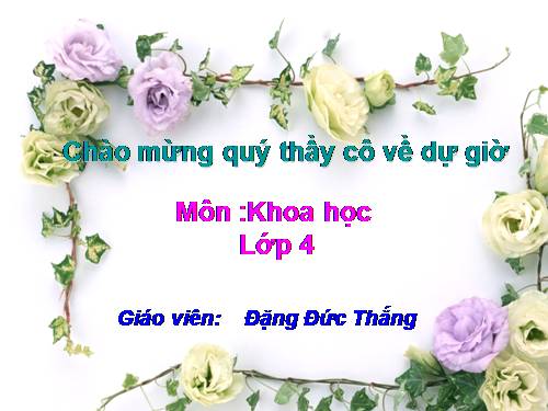 Bài 44. Âm thanh trong cuộc sống (tiếp theo)