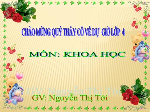 Bài 32. Không khí gồm những thành phần nào?