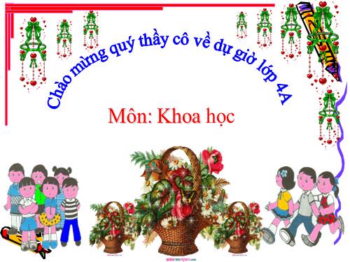 Bài 57. Thực vật cần gì để sống?