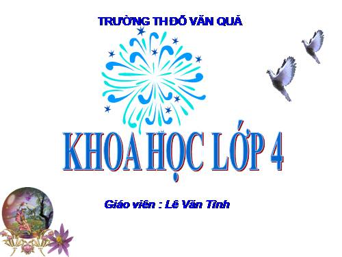 Bài 26. Nguyên nhân làm nước bị ô nhiễm