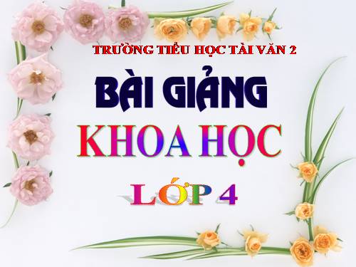 Bài 17. Phòng tránh tai nạn đuối nước