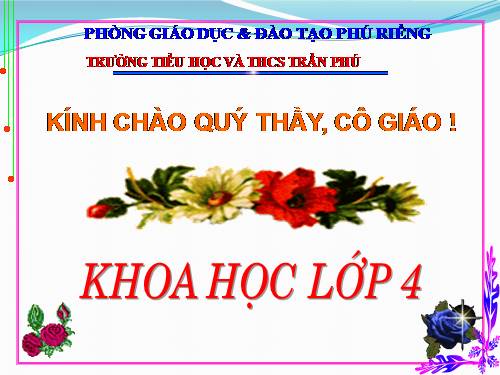 Bài 21. Ba thể của nước