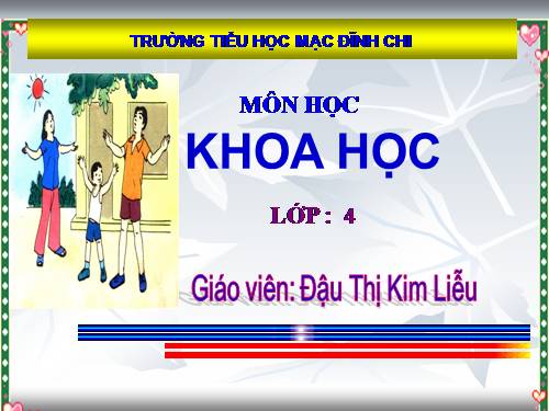 Bài 18 - 19. Ôn tập: Con người và sức khoẻ
