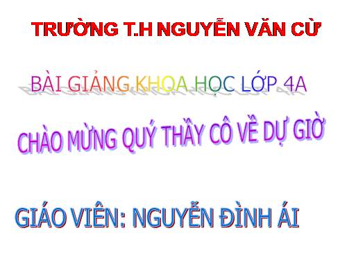 Bài 17. Phòng tránh tai nạn đuối nước