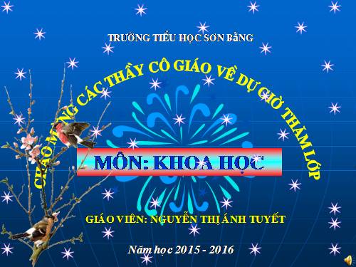Bài 16. Ăn uống khi bị bệnh