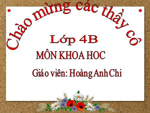 Bài 21. Ba thể của nước