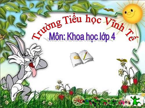 Bài 4. Các chất dinh dưỡng có trong thức ăn. Vai trò của chất bột đường