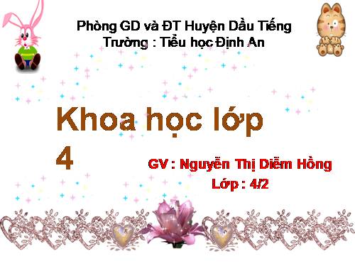 Bài 20. Nước có những tính chất gì?