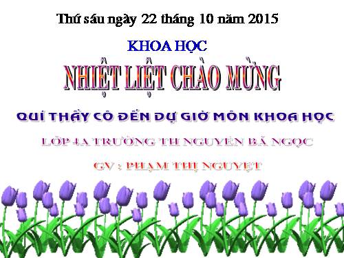 Bài 16. Ăn uống khi bị bệnh