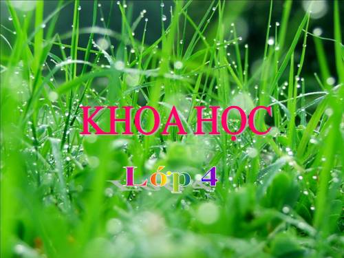 Bài 16. Ăn uống khi bị bệnh